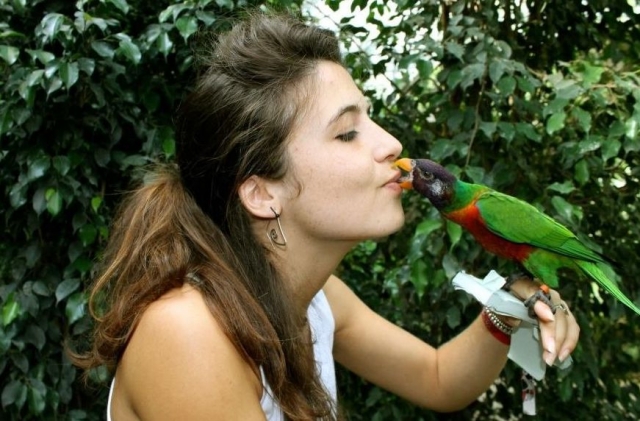 te daran besitos